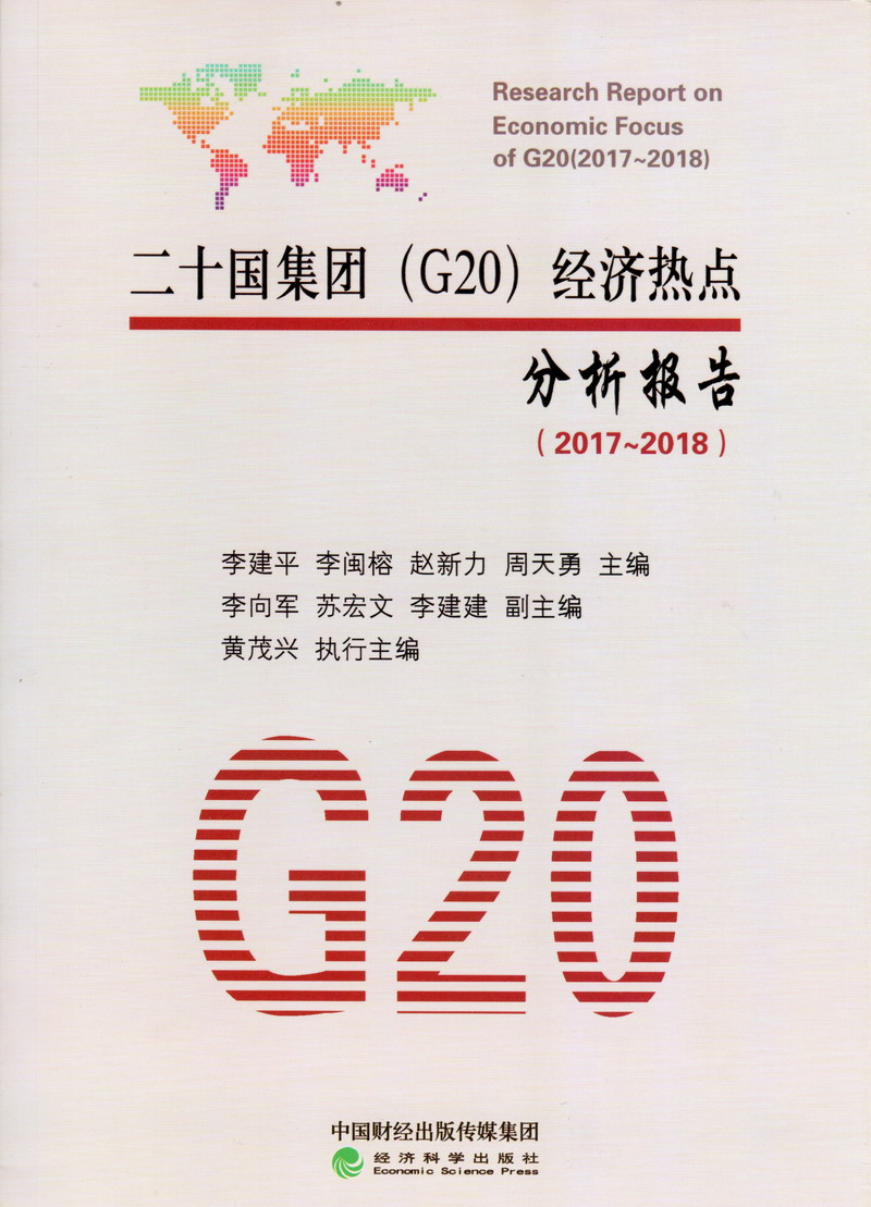 www.18猛男插笔视频二十国集团（G20）经济热点分析报告（2017-2018）